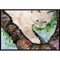 Carolines Treasures 18 x 27 in. Cat-Birman Indoor and Outdoor Doormat SS8276MAT